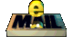 P_EMAIL